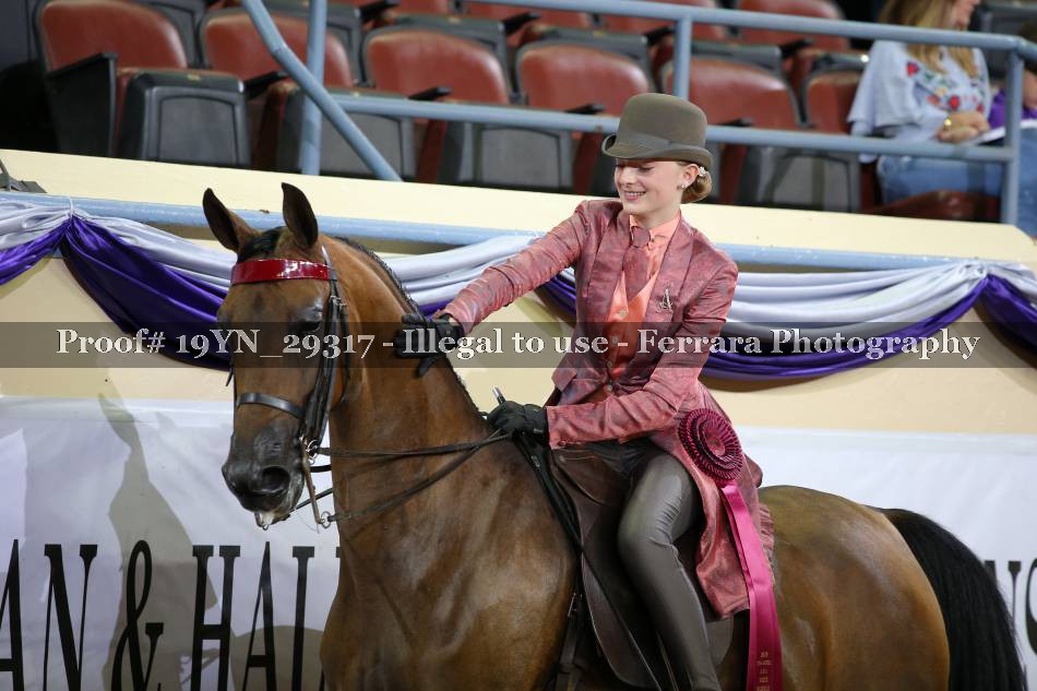 Proof 19YN_29317