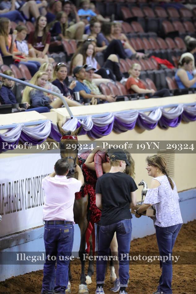 Proof 19YN_29324