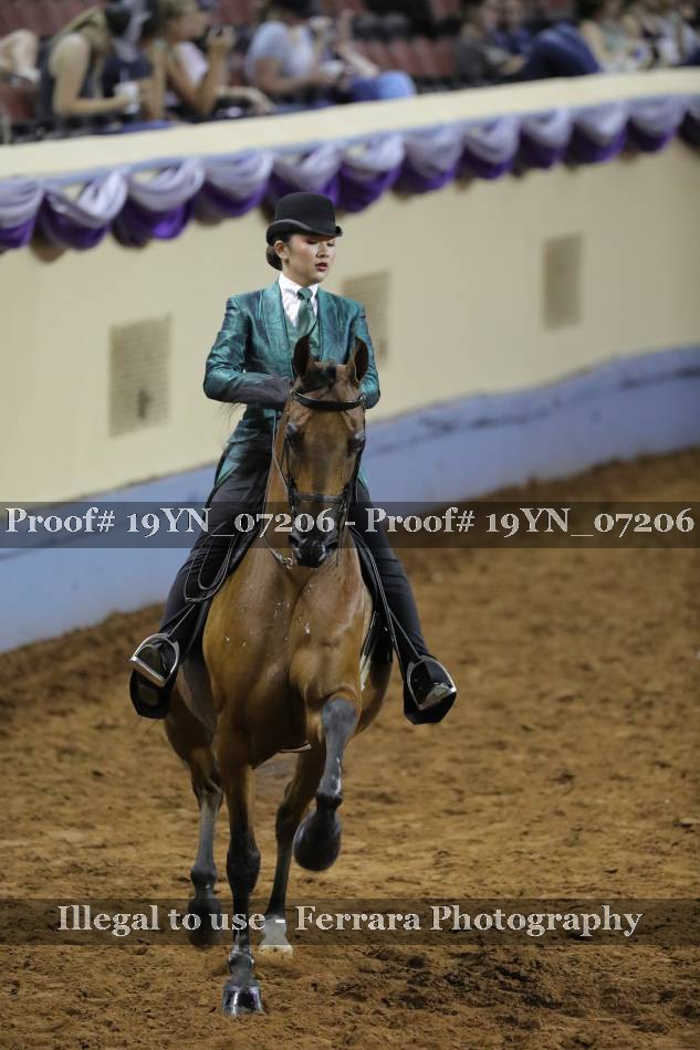 Proof 19YN_07206