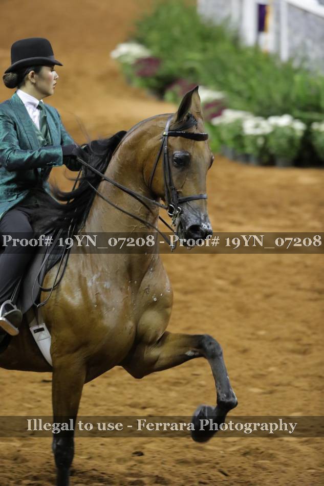 Proof 19YN_07208