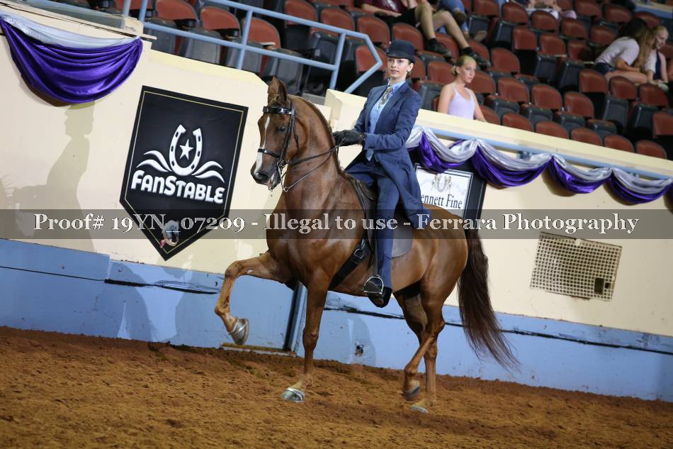Proof 19YN_07209