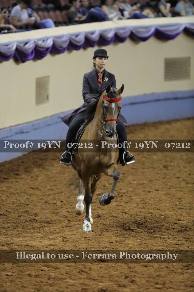 Proof 19YN_07212