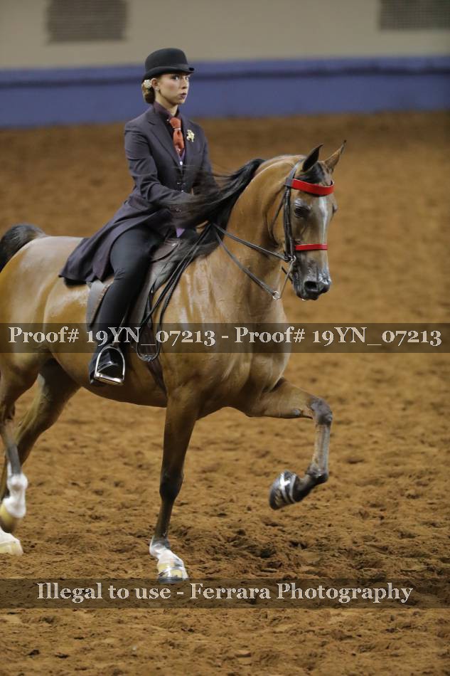 Proof 19YN_07213