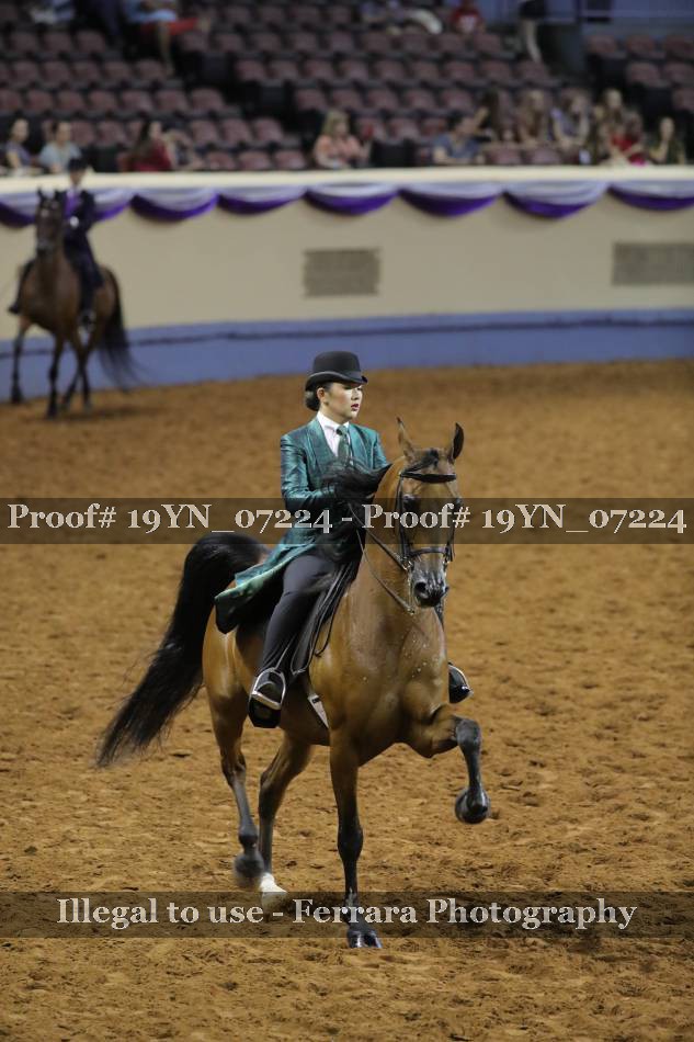 Proof 19YN_07224