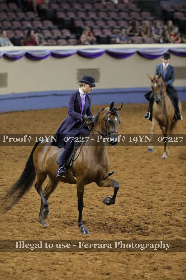 Proof 19YN_07227