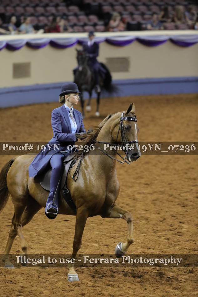 Proof 19YN_07236