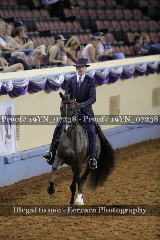 Proof 19YN_07238