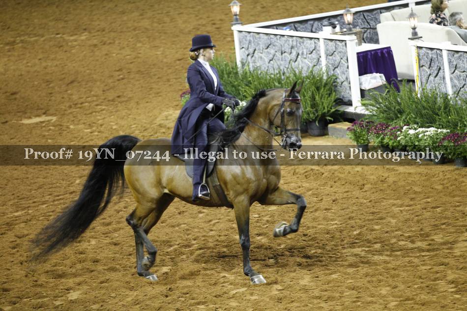 Proof 19YN_07244
