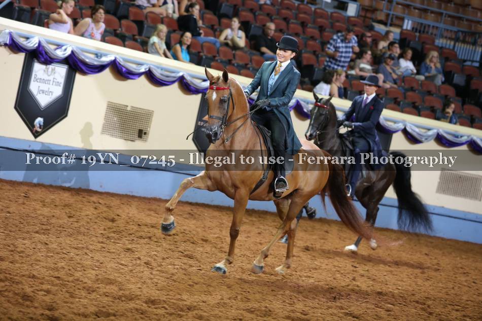 Proof 19YN_07245