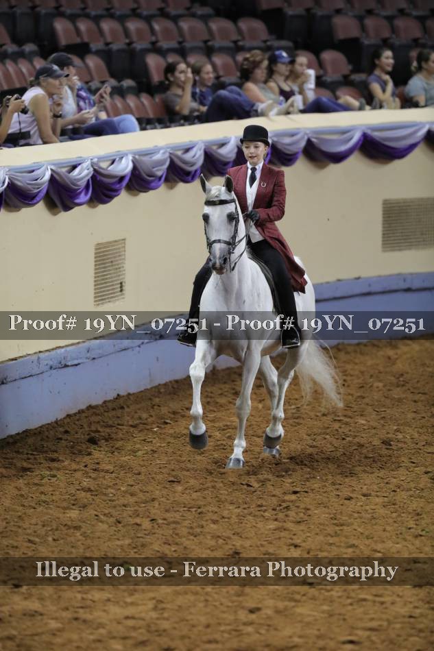 Proof 19YN_07251