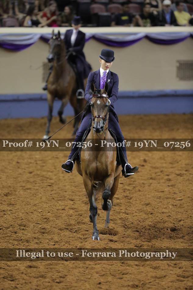 Proof 19YN_07256