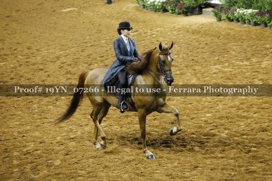 Proof 19YN_07266