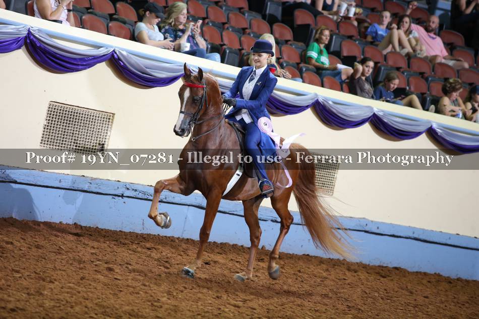 Proof 19YN_07281