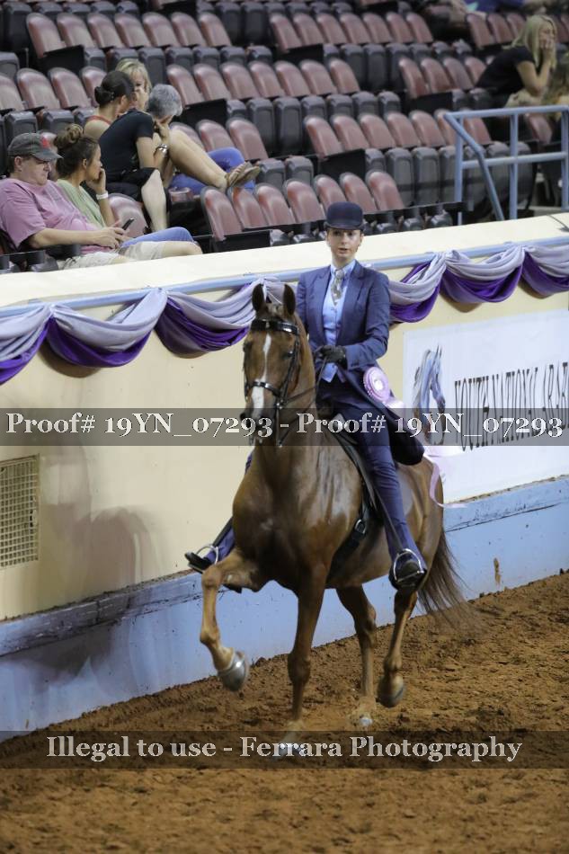 Proof 19YN_07293