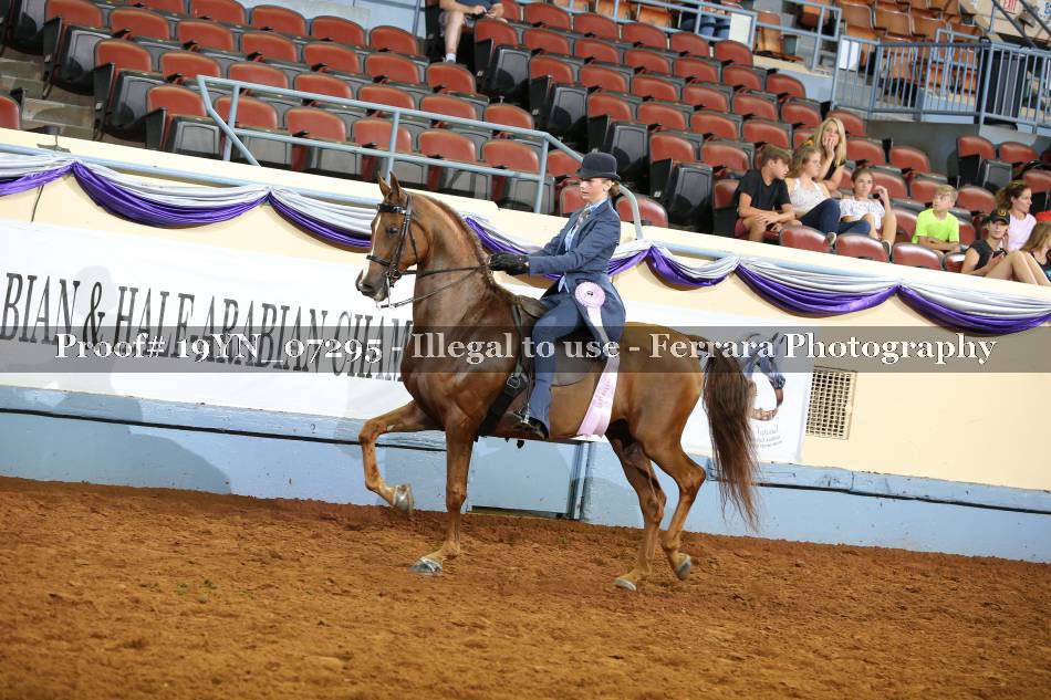 Proof 19YN_07295