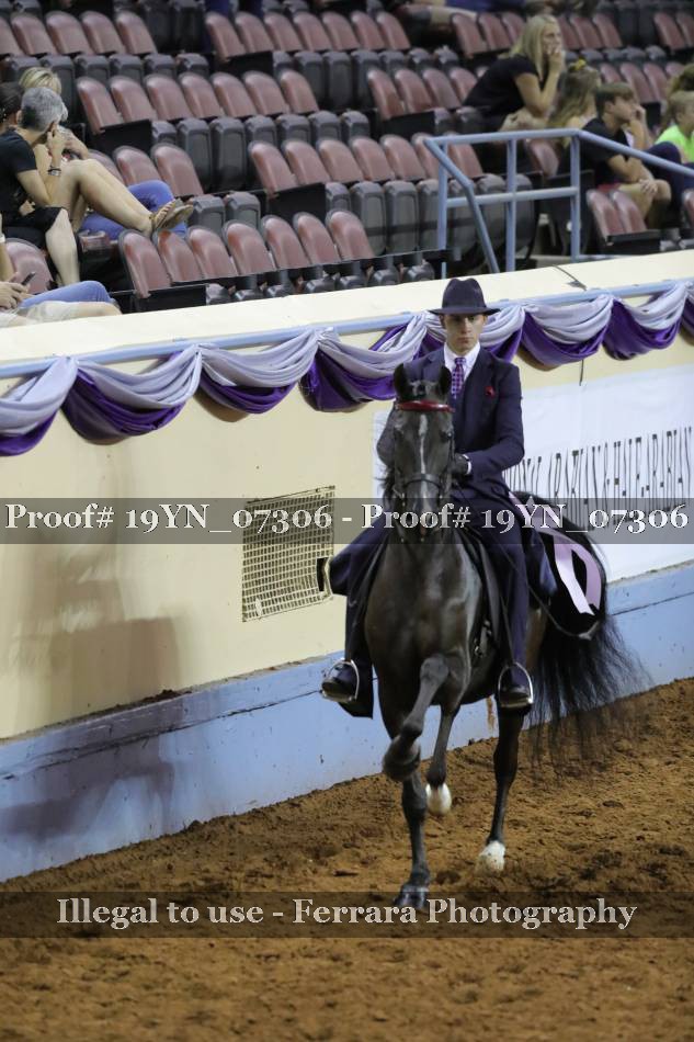 Proof 19YN_07306