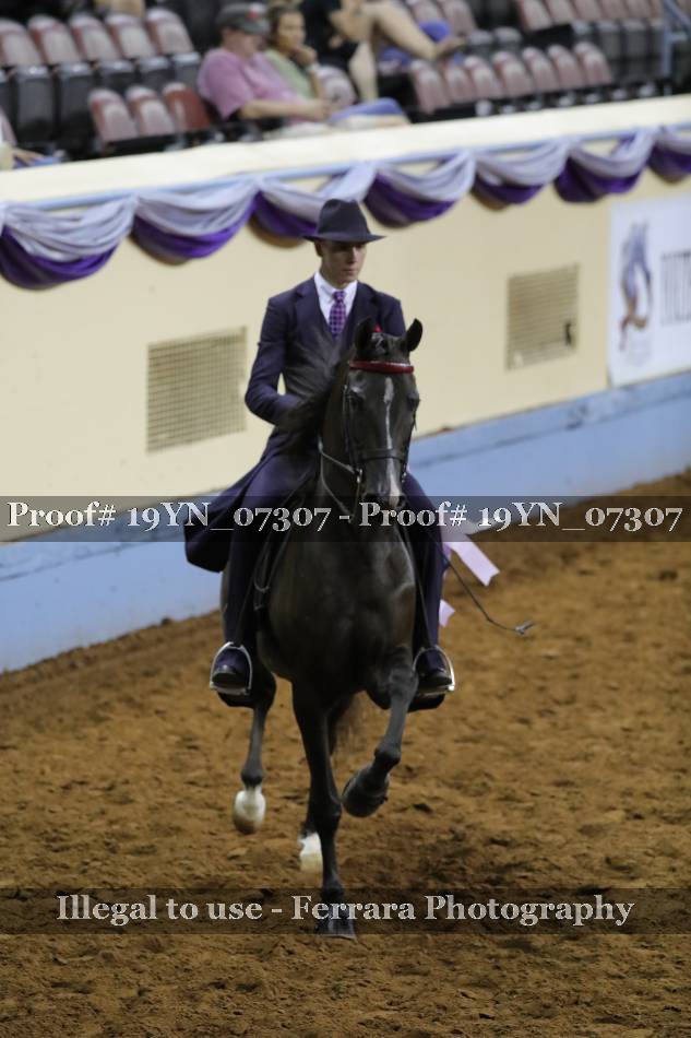 Proof 19YN_07307