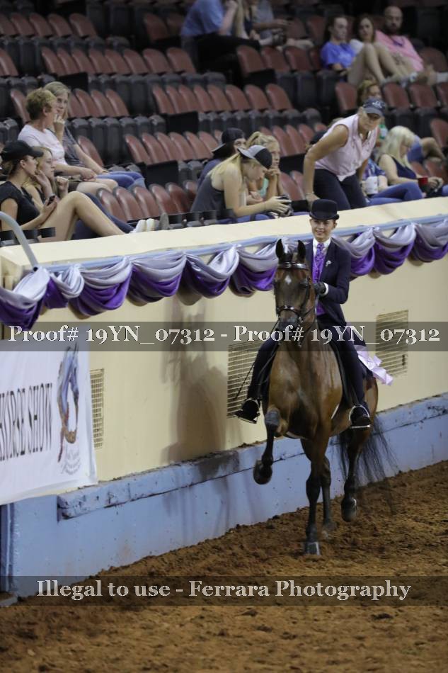 Proof 19YN_07312