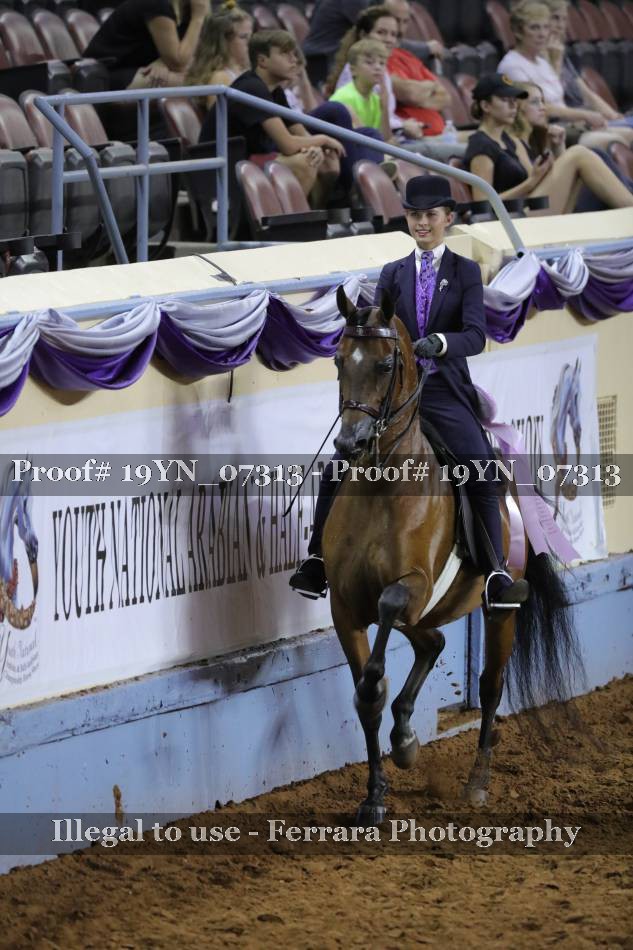 Proof 19YN_07313