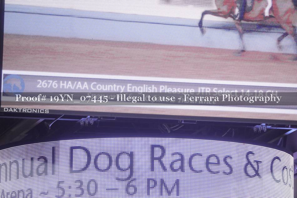 Proof 19YN_07445