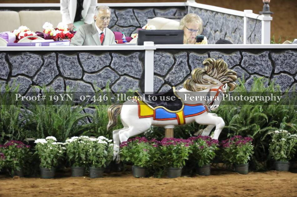 Proof 19YN_07446