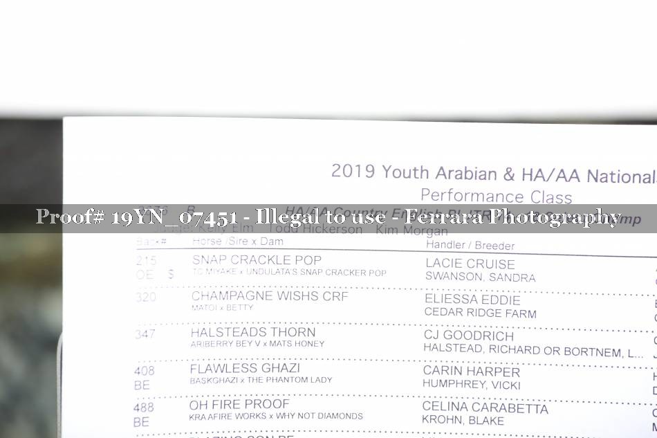 Proof 19YN_07451