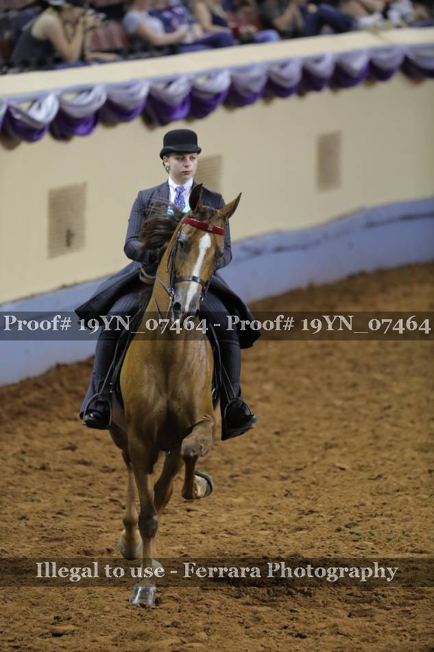 Proof 19YN_07464