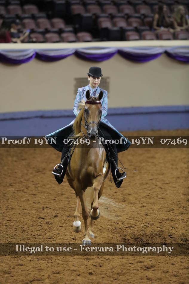 Proof 19YN_07469