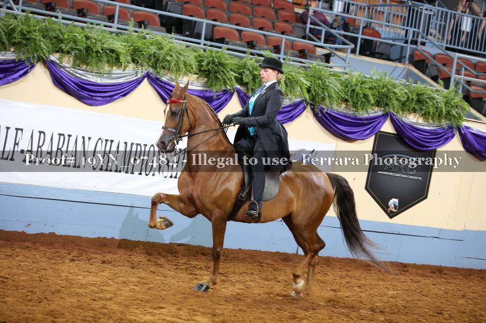 Proof 19YN_07484