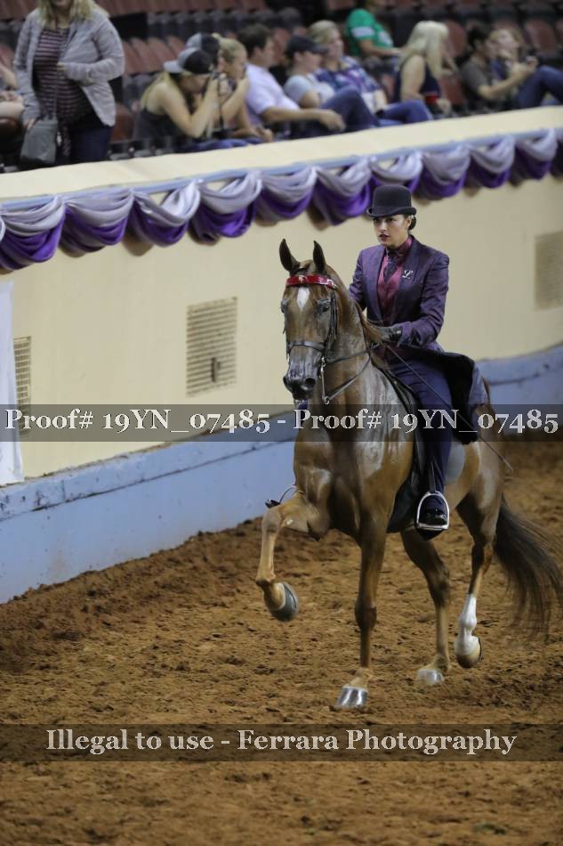 Proof 19YN_07485