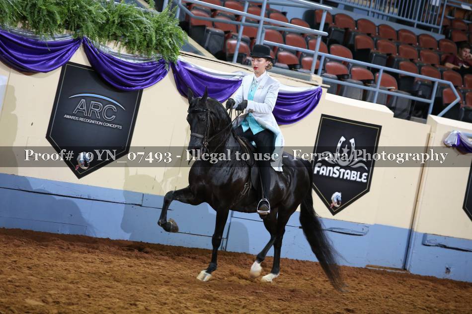 Proof 19YN_07493