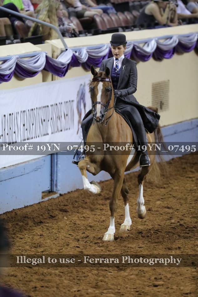 Proof 19YN_07495