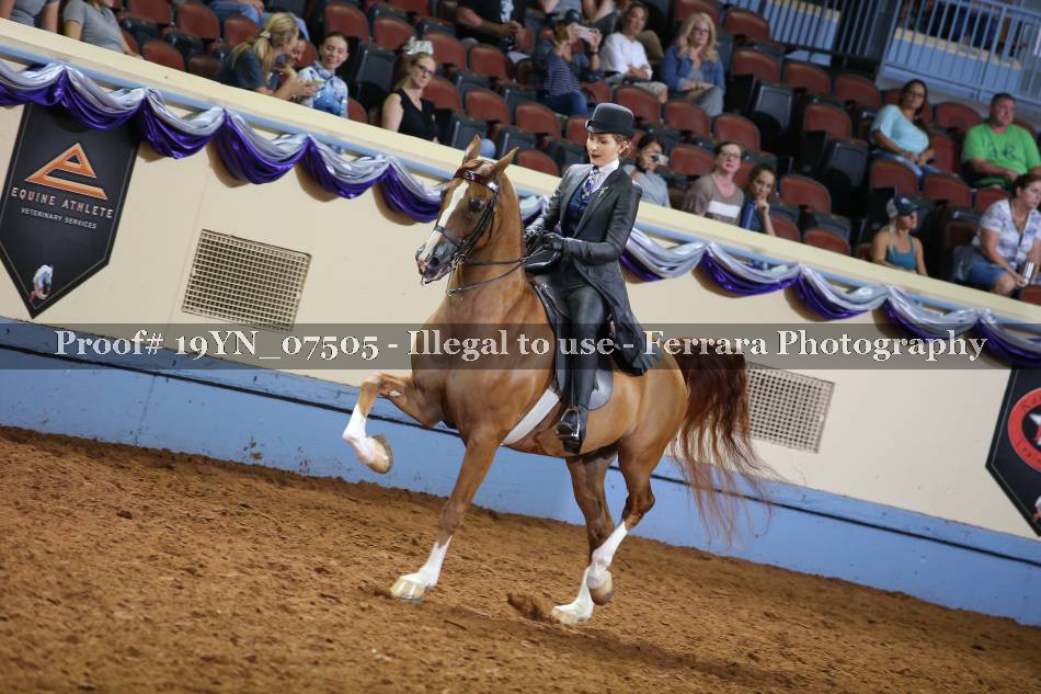 Proof 19YN_07505