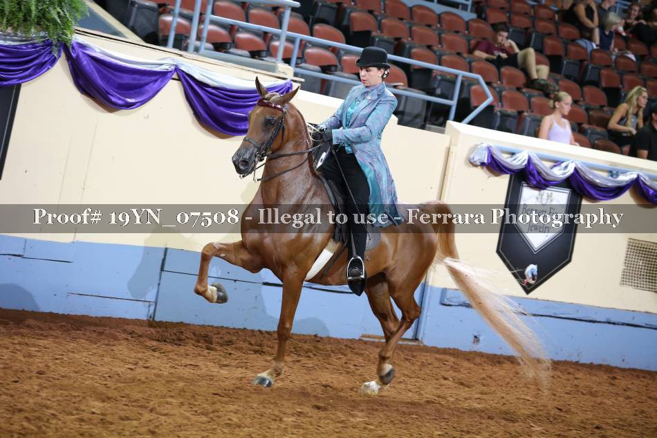 Proof 19YN_07508