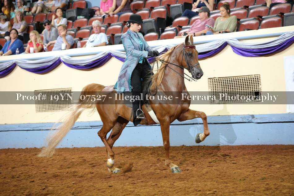 Proof 19YN_07527