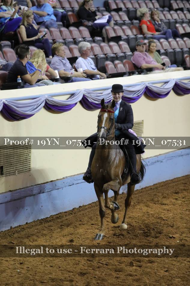 Proof 19YN_07531