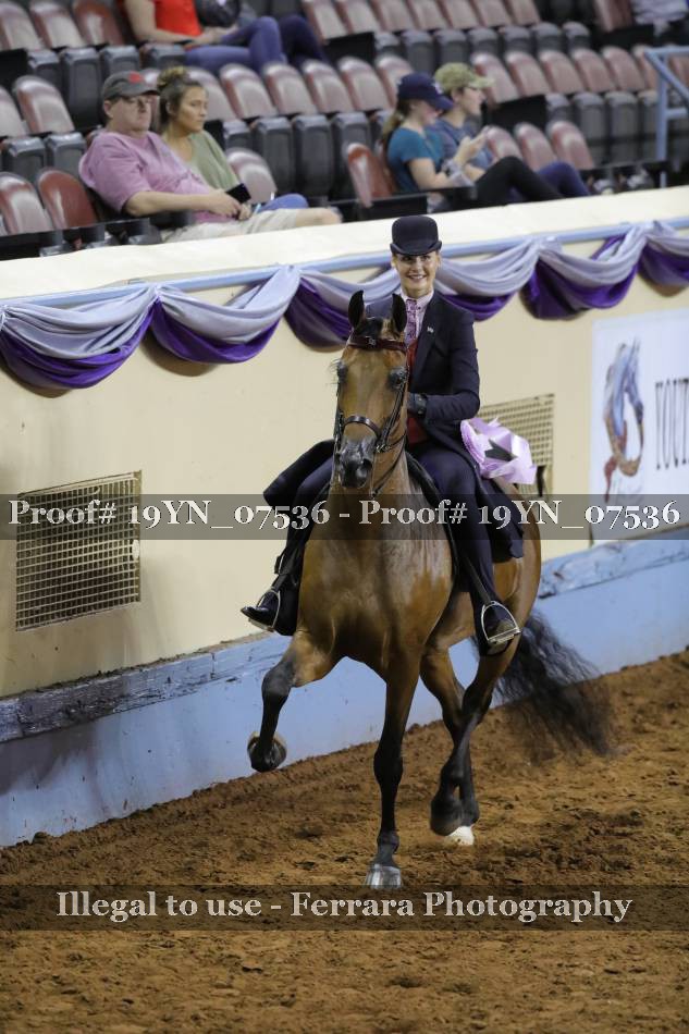 Proof 19YN_07536