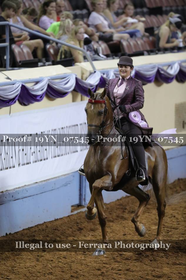 Proof 19YN_07545