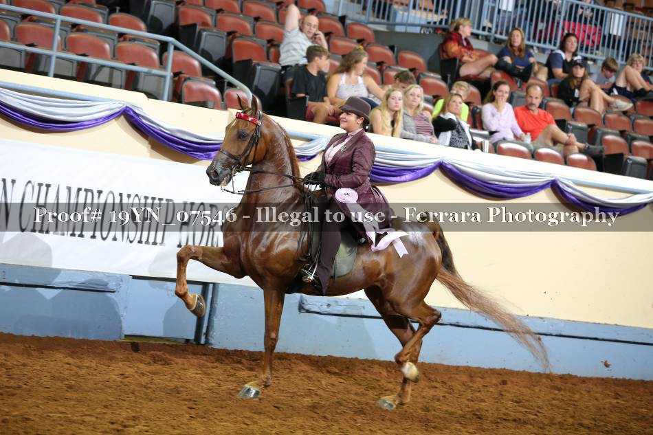 Proof 19YN_07546