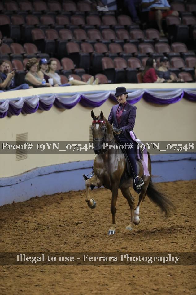 Proof 19YN_07548