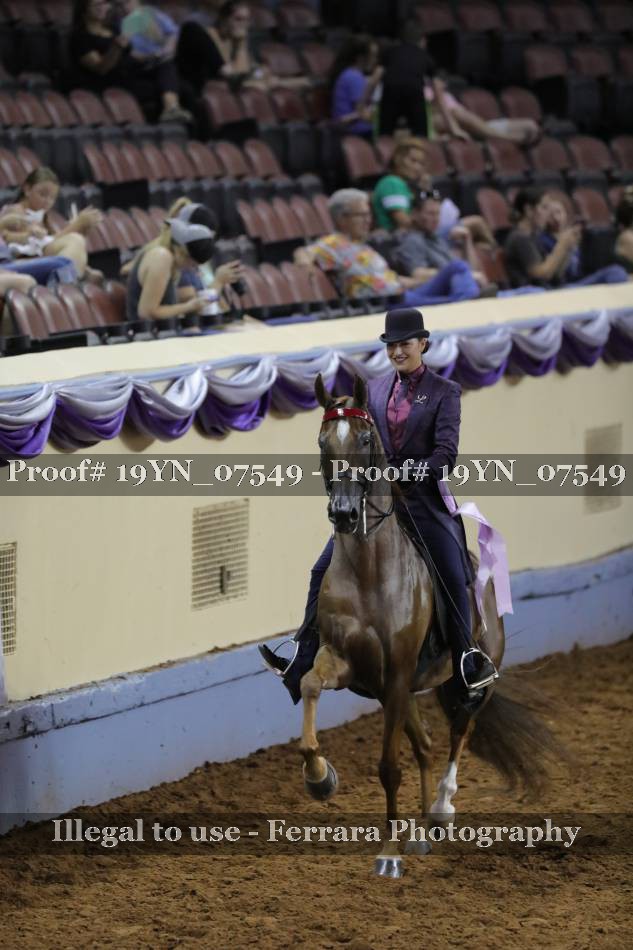 Proof 19YN_07549