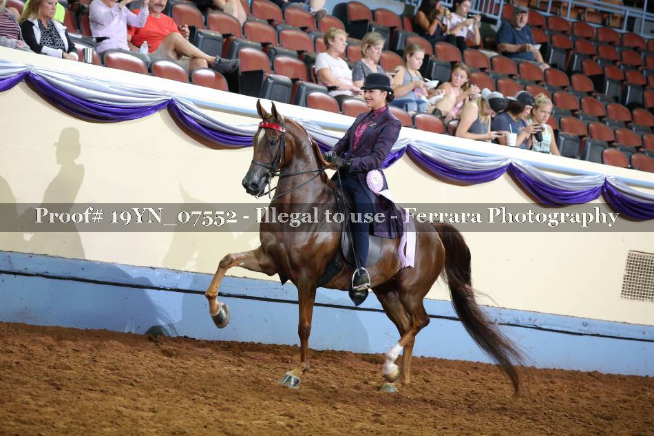 Proof 19YN_07552