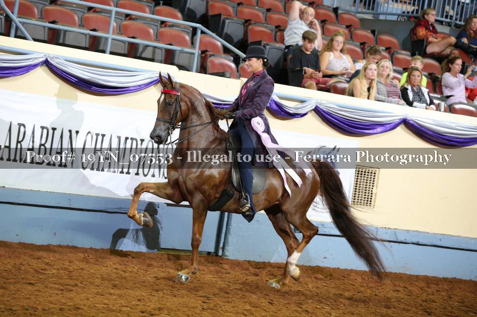 Proof 19YN_07553