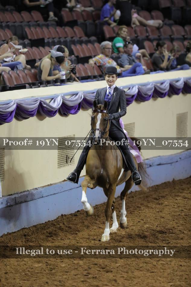 Proof 19YN_07554