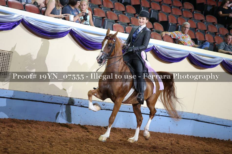 Proof 19YN_07555