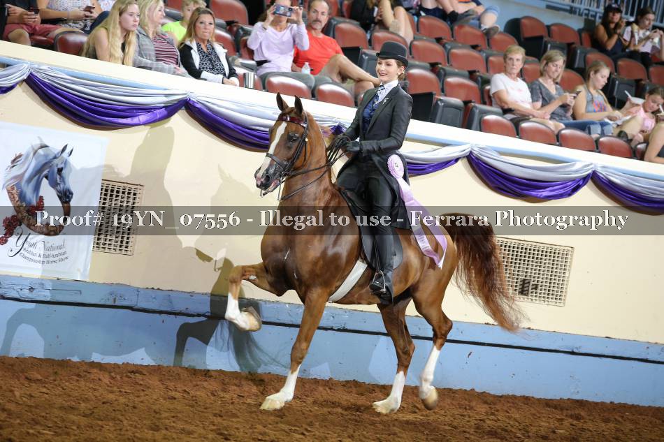 Proof 19YN_07556