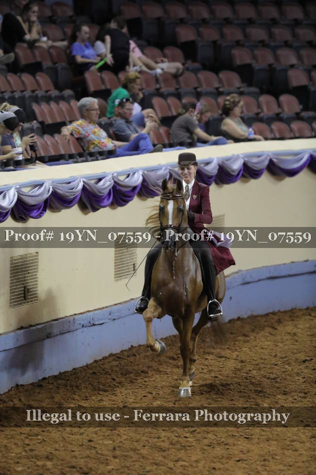 Proof 19YN_07559