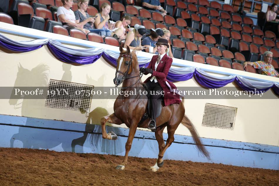 Proof 19YN_07560