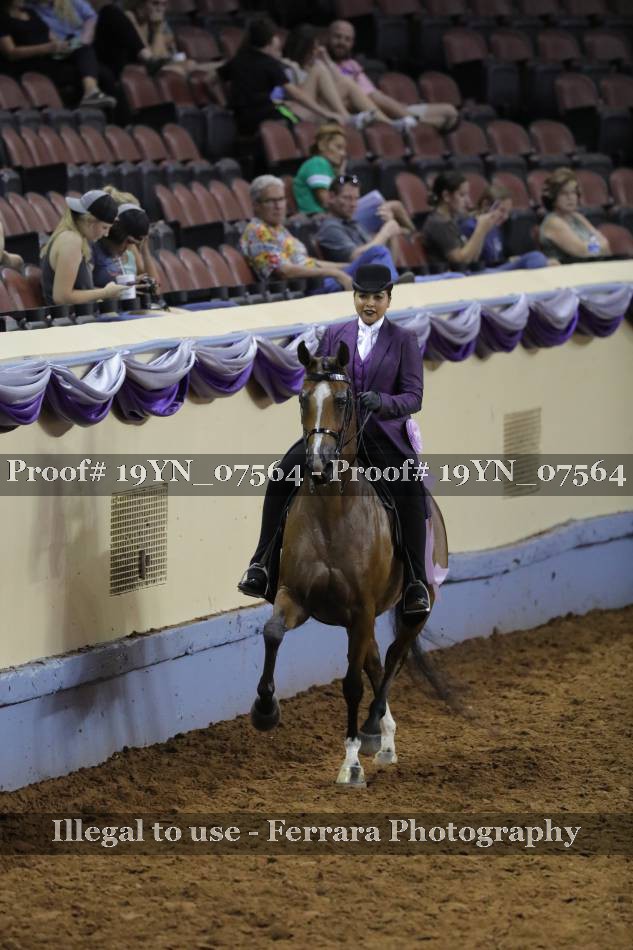 Proof 19YN_07564