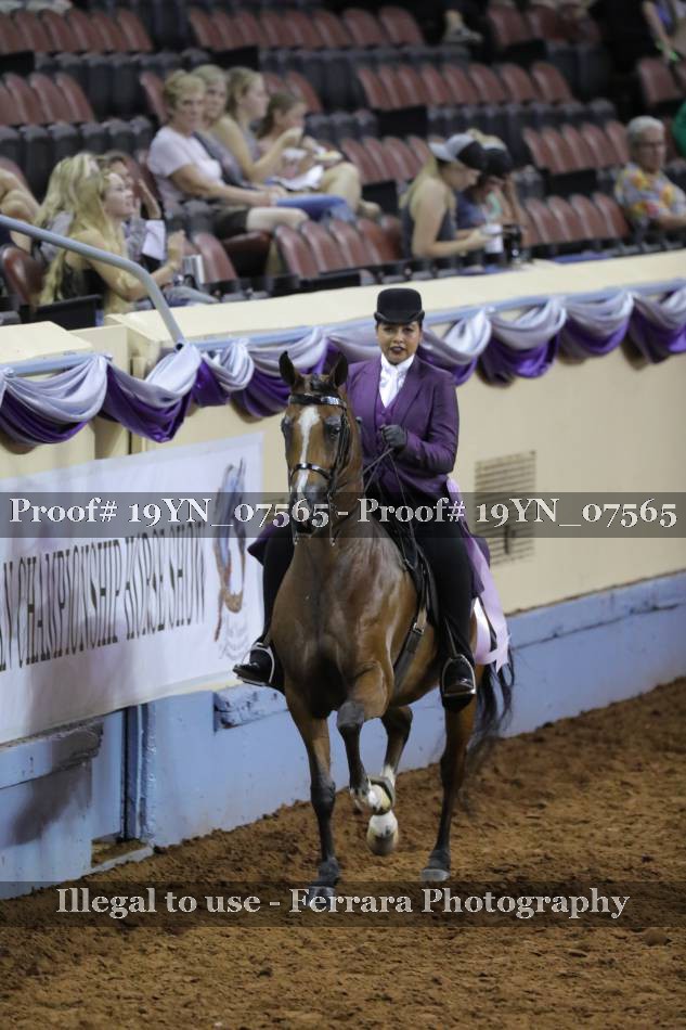 Proof 19YN_07565
